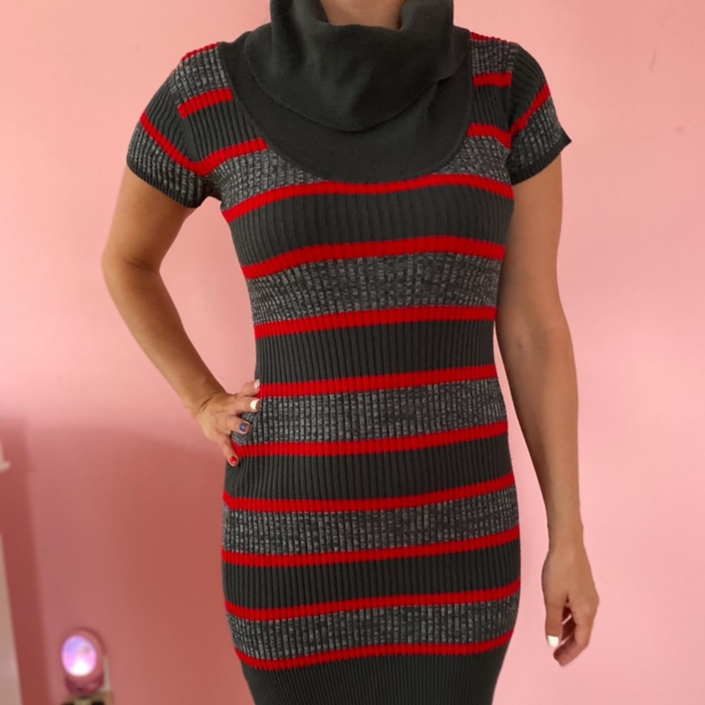 Short Sleeved Sweater Dress (Derek Heart)
